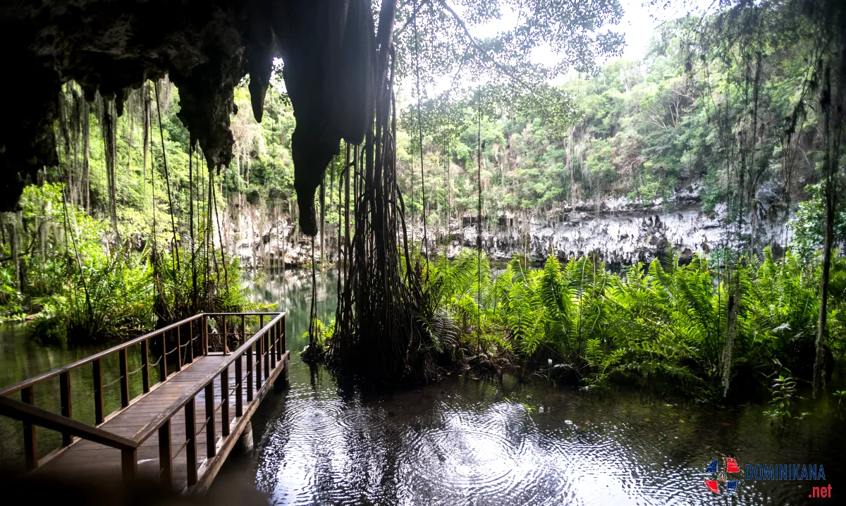 "Scenic view of Ojos Indígenas Ecological Park showcasing its diverse ecosystems and natural beauty."